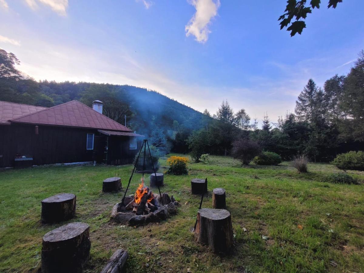 Villa Patysiowka Stronie Śląskie Exterior foto